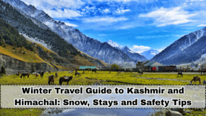 Winter Travel Guide to Kashmir and Himachal: Snow, Budget Stays and Safety Tips