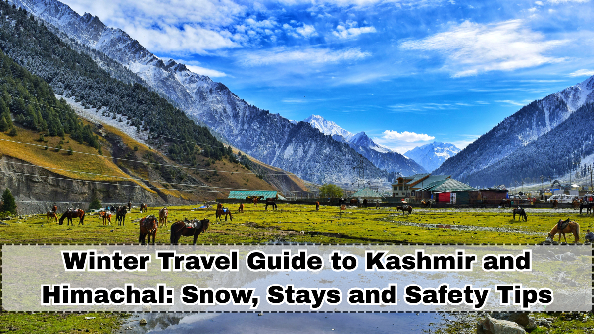 Winter Travel Guide to Kashmir and Himachal: Snow, Budget Stays and Safety Tips