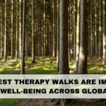 How Forest Therapy Walks Are Improving Mental Well-Being Across Global Cities