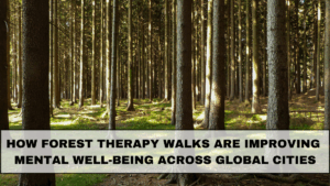How Forest Therapy Walks Are Improving Mental Well-Being Across Global Cities