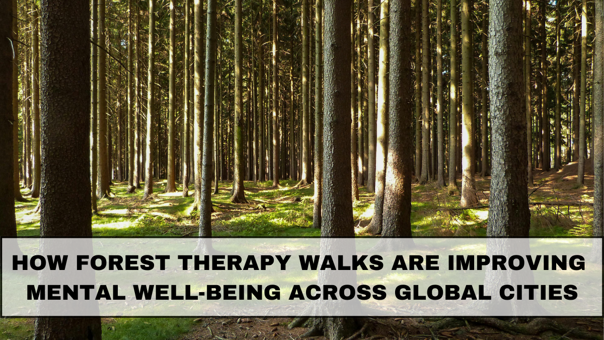 How Forest Therapy Walks Are Improving Mental Well-Being Across Global Cities