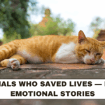 Animals Who Saved Lives — Real Emotional Stories