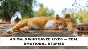 Animals Who Saved Lives — Real Emotional Stories