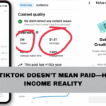 Viral on TikTok Doesn’t Mean Paid—Here’s the Income Reality