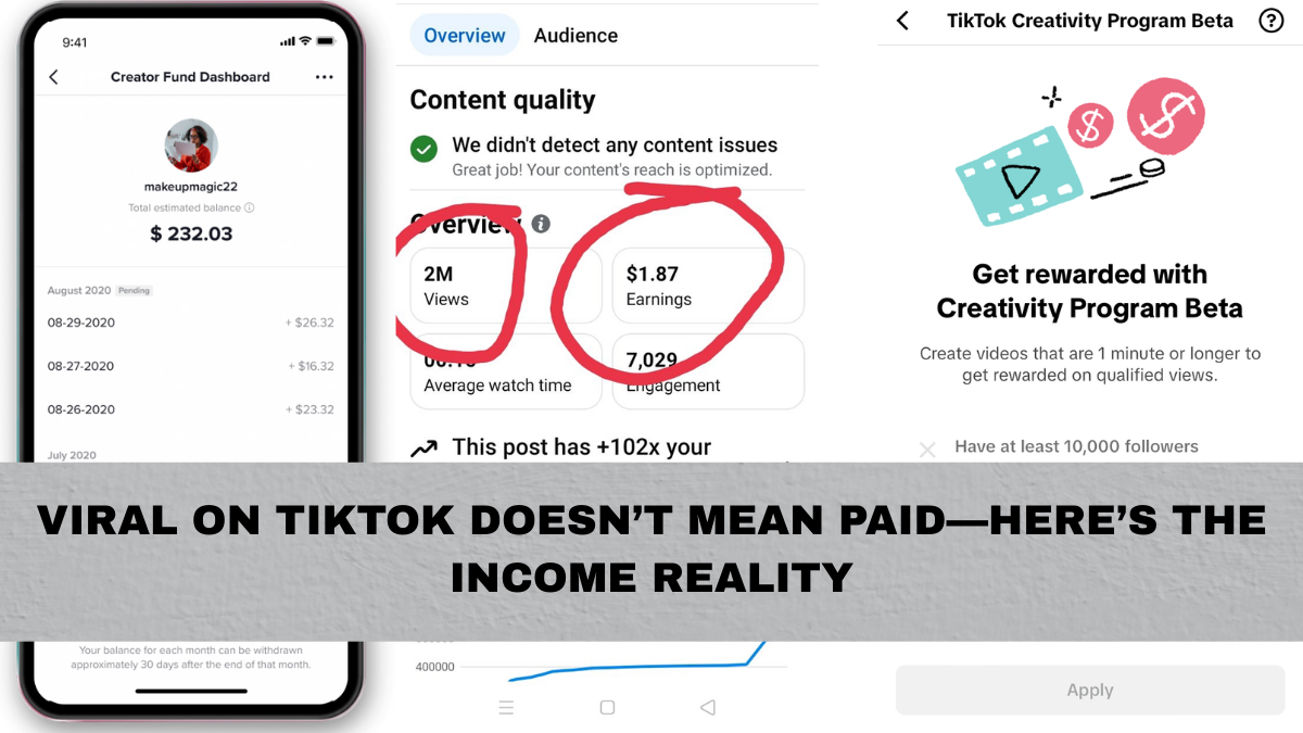 Viral on TikTok Doesn’t Mean Paid—Here’s the Income Reality