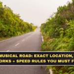 Mumbai’s Musical Road: Exact Location, How The Tune Works + Speed Rules You Must Follow