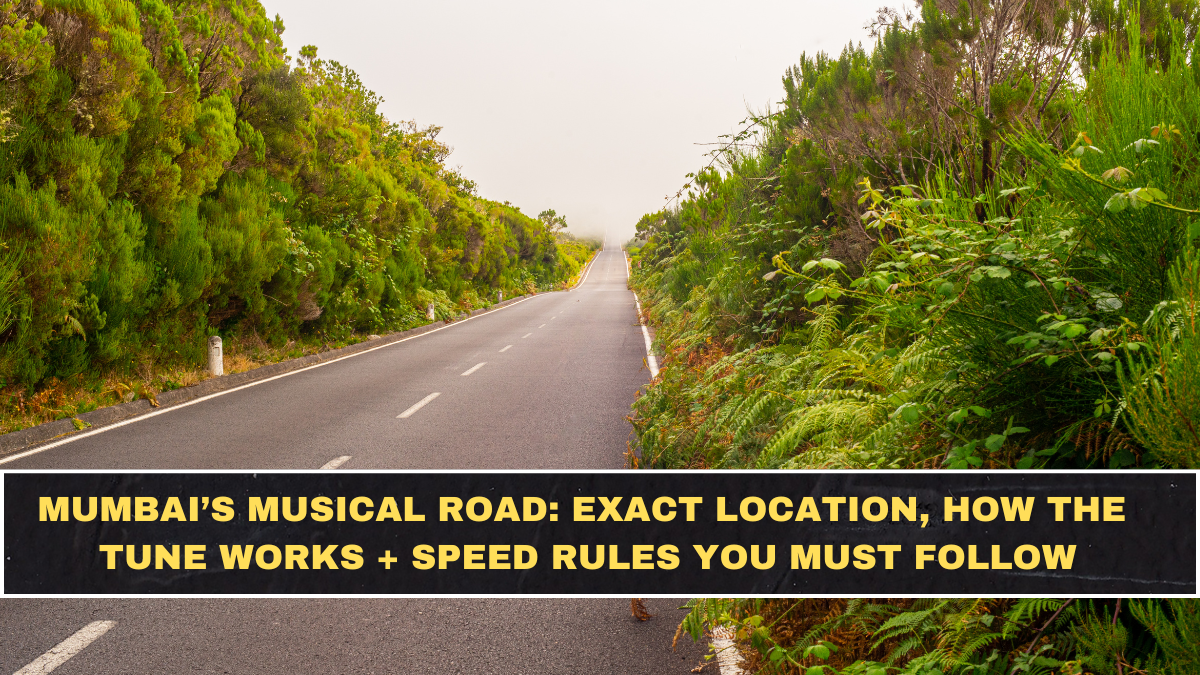Mumbai’s Musical Road: Exact Location, How The Tune Works + Speed Rules You Must Follow