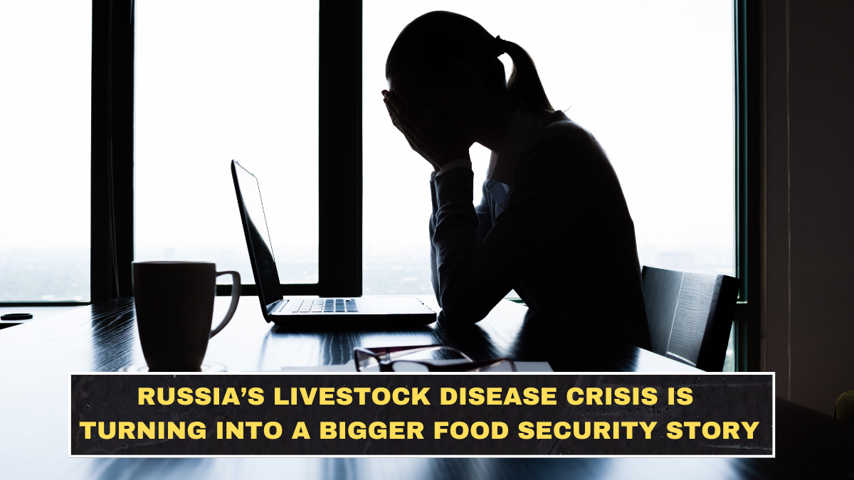 Russia’s Livestock Disease Crisis Is Turning Into a Bigger Food Security Story