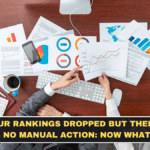 Your Rankings Dropped but There Is No Manual Action: Now What?