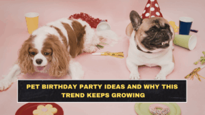 Pet Birthday Party Ideas and Why This Trend Keeps Growing