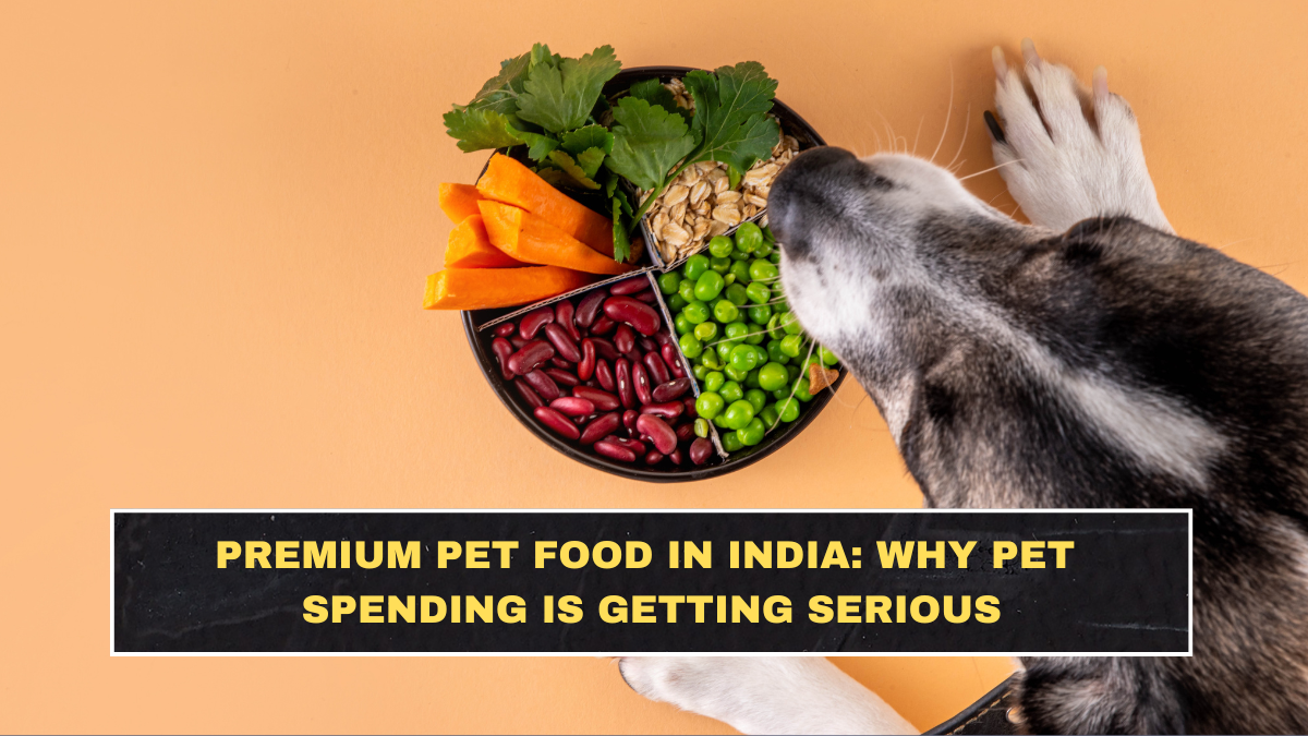 Premium Pet Food in India: Why Pet Spending Is Getting Serious