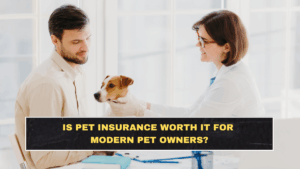Is Pet Insurance Worth It for Modern Pet Owners?