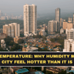 Mumbai Temperature: Why Humidity Makes the City Feel Hotter Than It Is