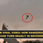 UP Storm Viral Video: How Dangerous Winds Can Turn Deadly in Seconds