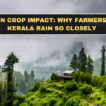 Monsoon Crop Impact: Why Farmers Watch Kerala Rain So Closely