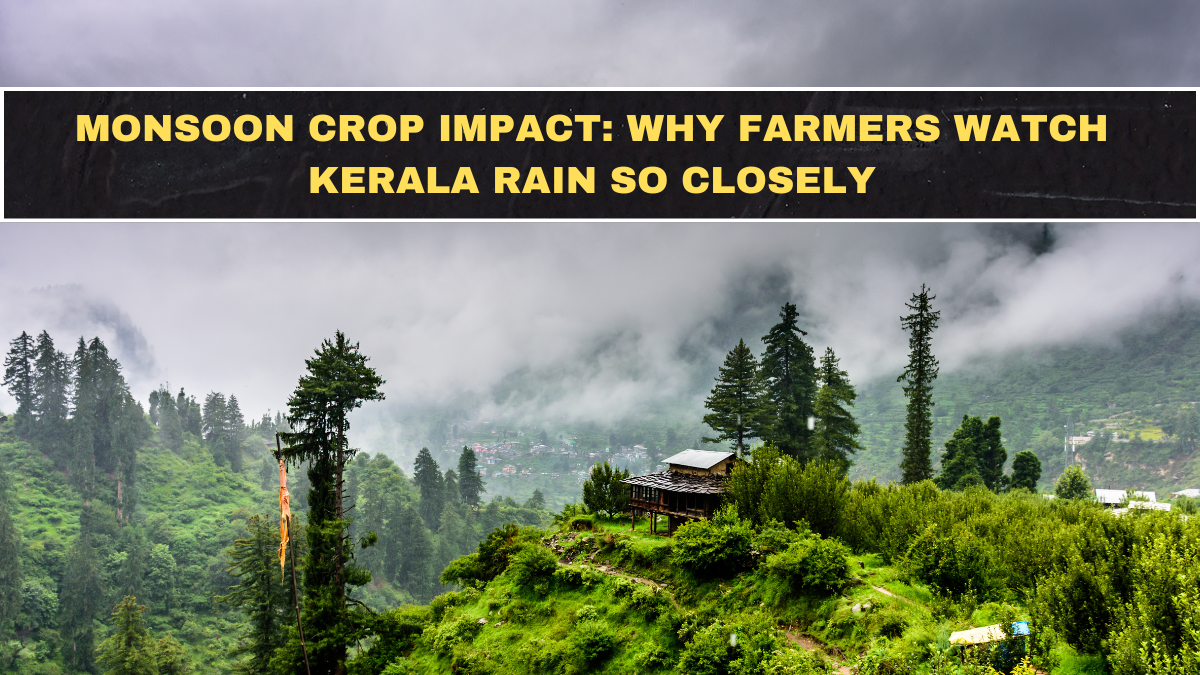 Monsoon Crop Impact: Why Farmers Watch Kerala Rain So Closely
